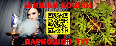 индика Можайск